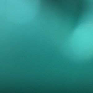 Meet your Posher, Ingrid